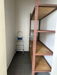 The Parc Condominium (D5), Condominium #458109821